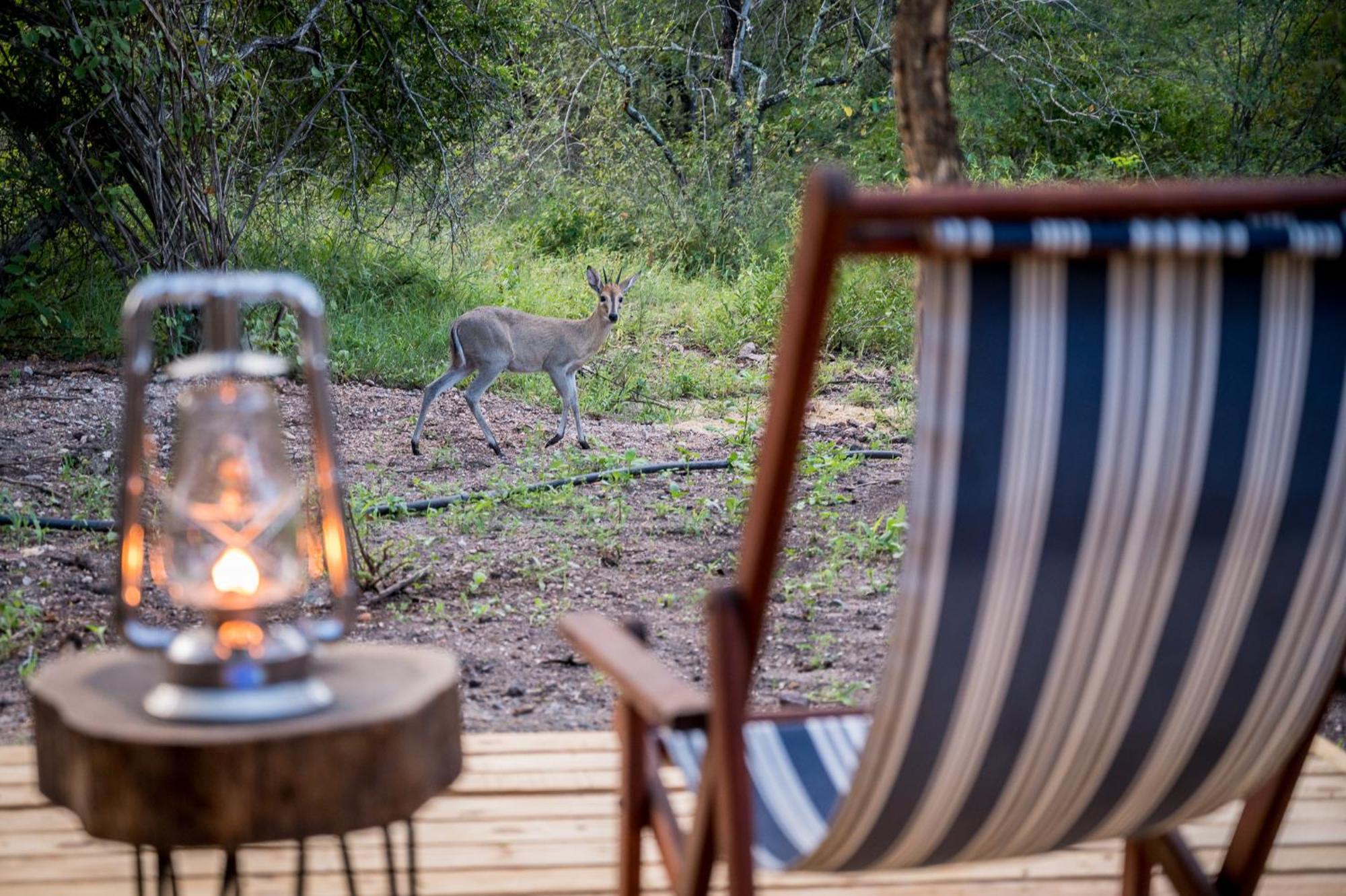 Bosveld Villa Marloth Park Exterior foto